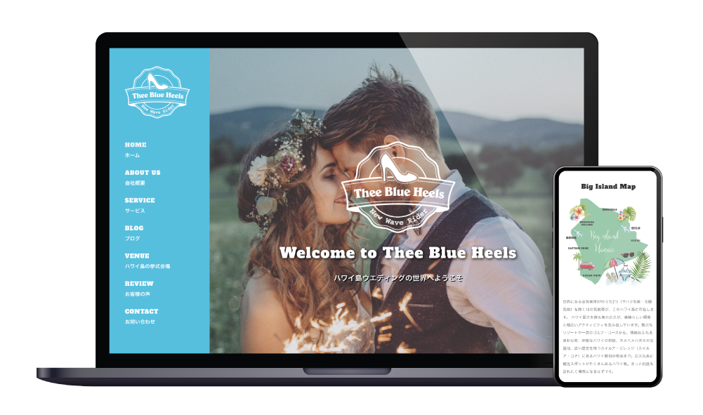 Blue Heels website - aiTWorks